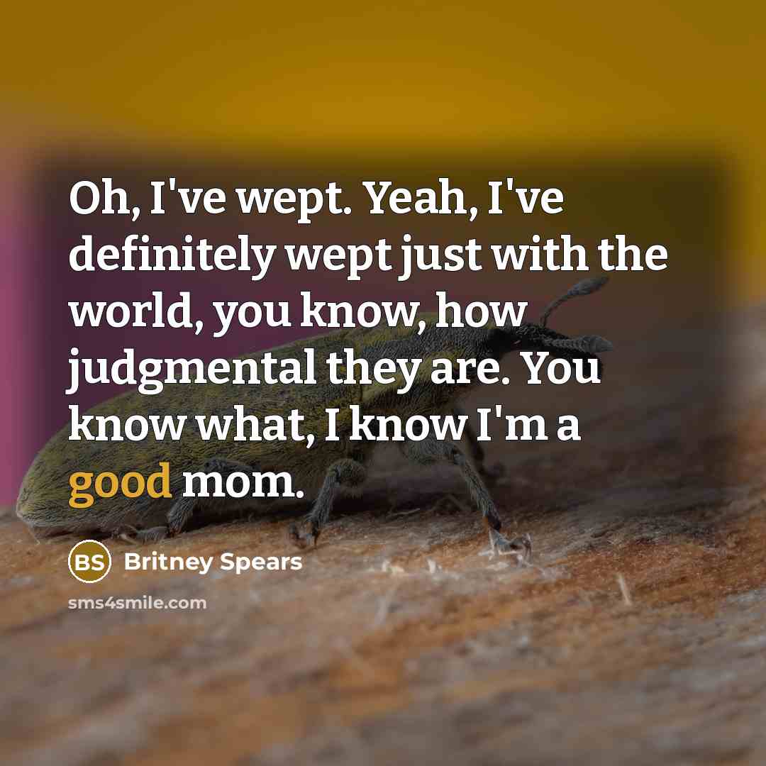 “Oh, I've wept. Yeah, I've definitely wept just with the…” quote by Britney Spears