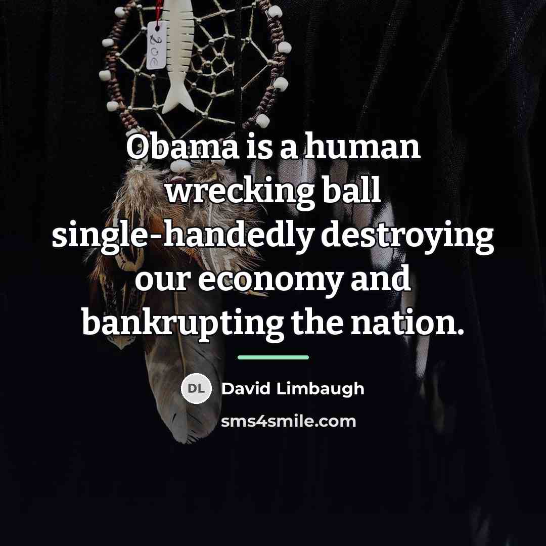 “Obama is a human wrecking ball single-handedly destroying our economy…” quote by David Limbaugh