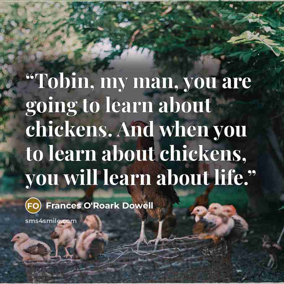 “Tobin, my man, you are going to learn about chickens. And when you to learn about chickens, you will learn about life.” quote by Frances O'Roark Dowell