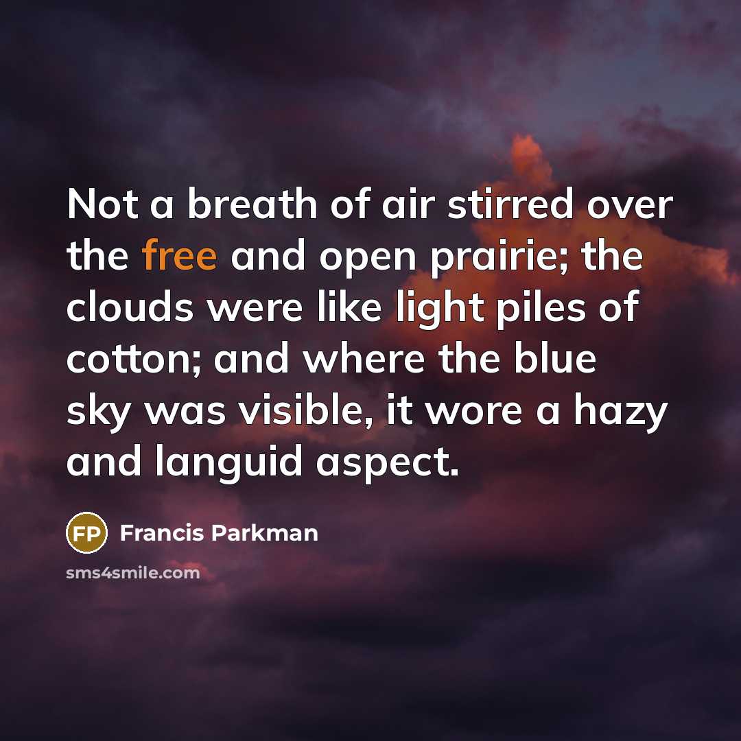“Not a breath of air stirred over the free and…” quote by Francis Parkman