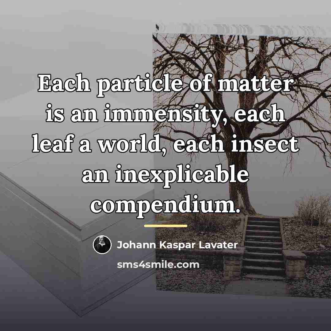 “Each particle of matter is an immensity, each leaf a…” quote by Johann Kaspar Lavater