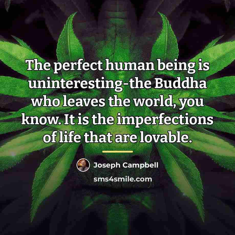 “The perfect human being is uninteresting-the Buddha who leaves the…” quote by Joseph Campbell