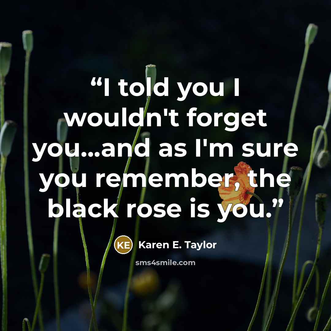 “I told you I wouldn't forget you...and as I'm sure you remember, the black rose is you.” quote by Karen E. Taylor