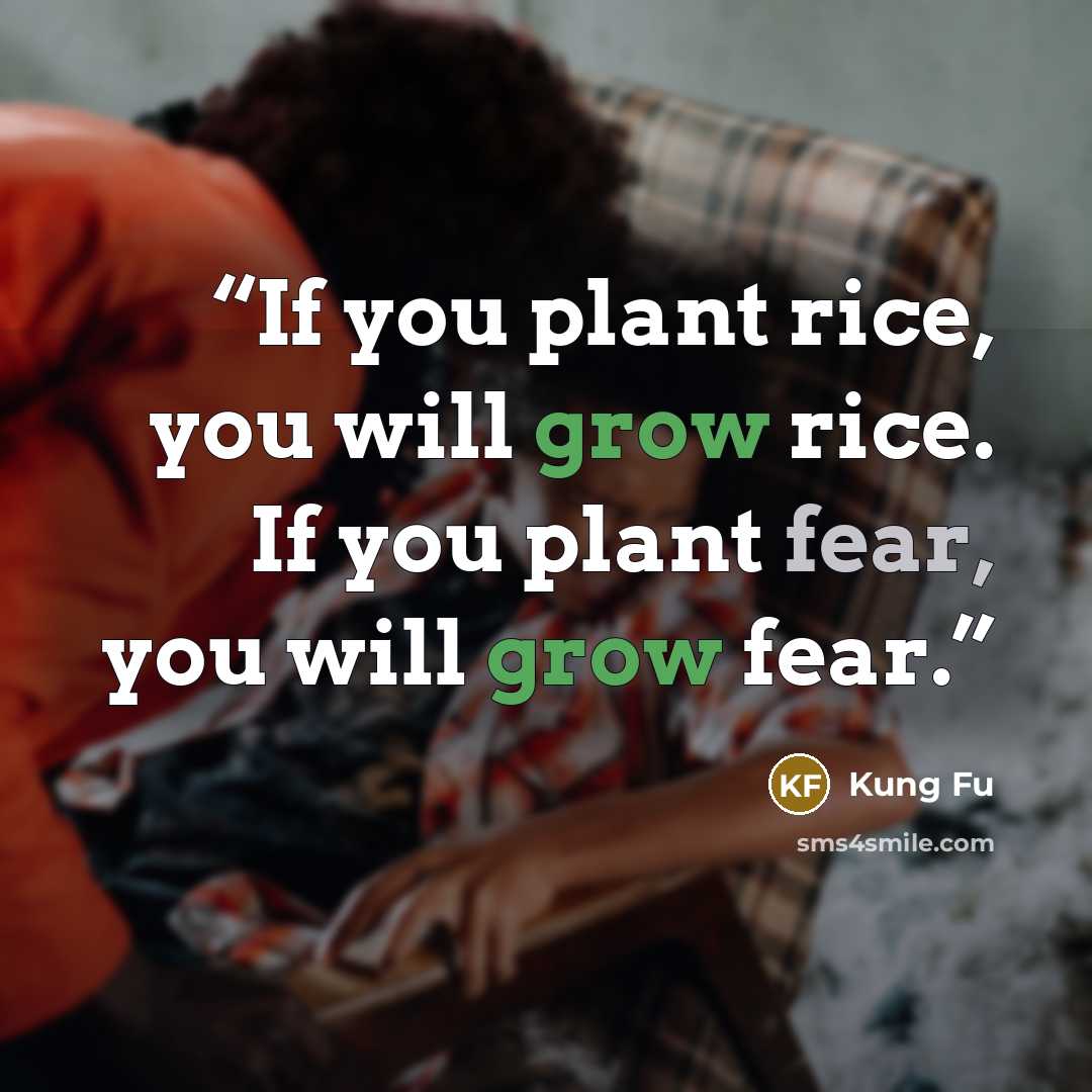 “If you plant rice, you will grow rice. If you plant fear, you will grow fear.” quote by Kung Fu