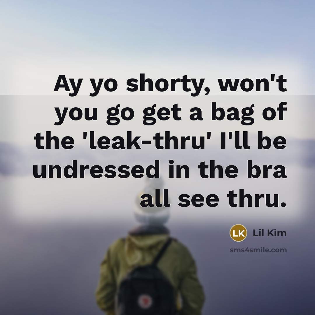 “Ay yo shorty, won't you go get a bag of…” quote by Lil Kim