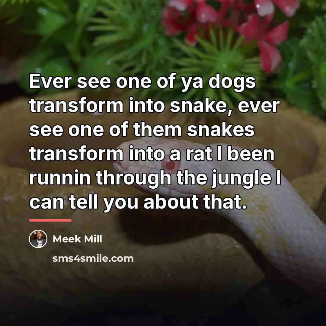“Ever see one of ya dogs transform into snake, ever…” quote by Meek Mill