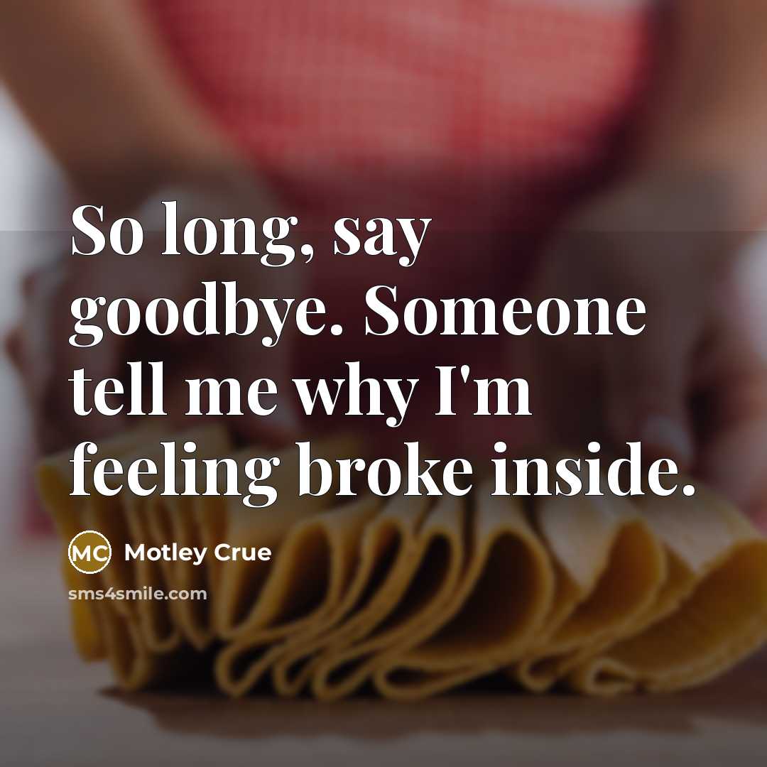 “So long, say goodbye. Someone tell me why I'm feeling…” quote by Motley Crue