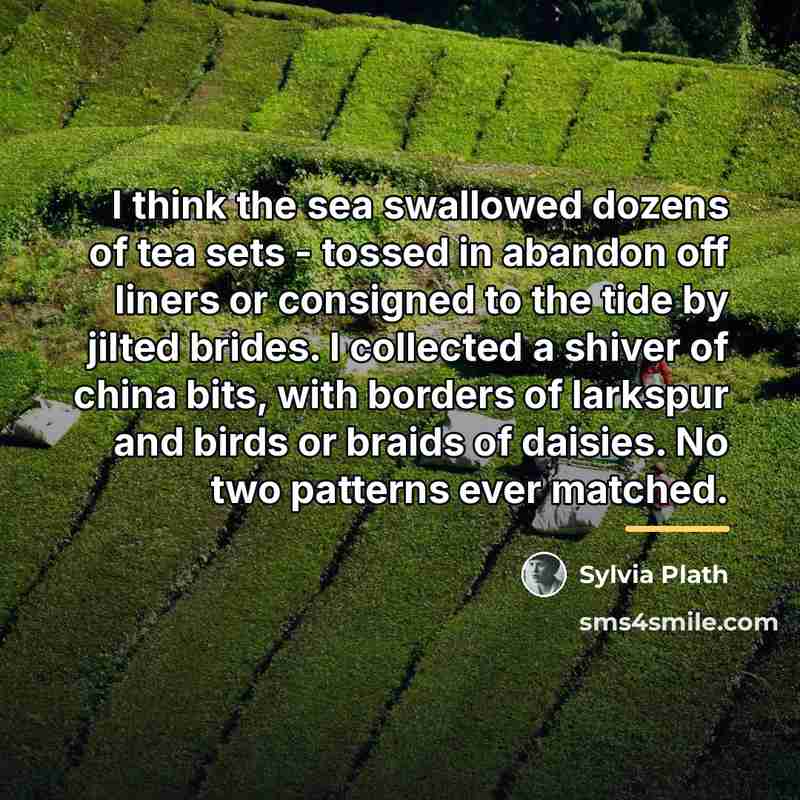 “I think the sea swallowed dozens of tea sets -…” quote by Sylvia Plath