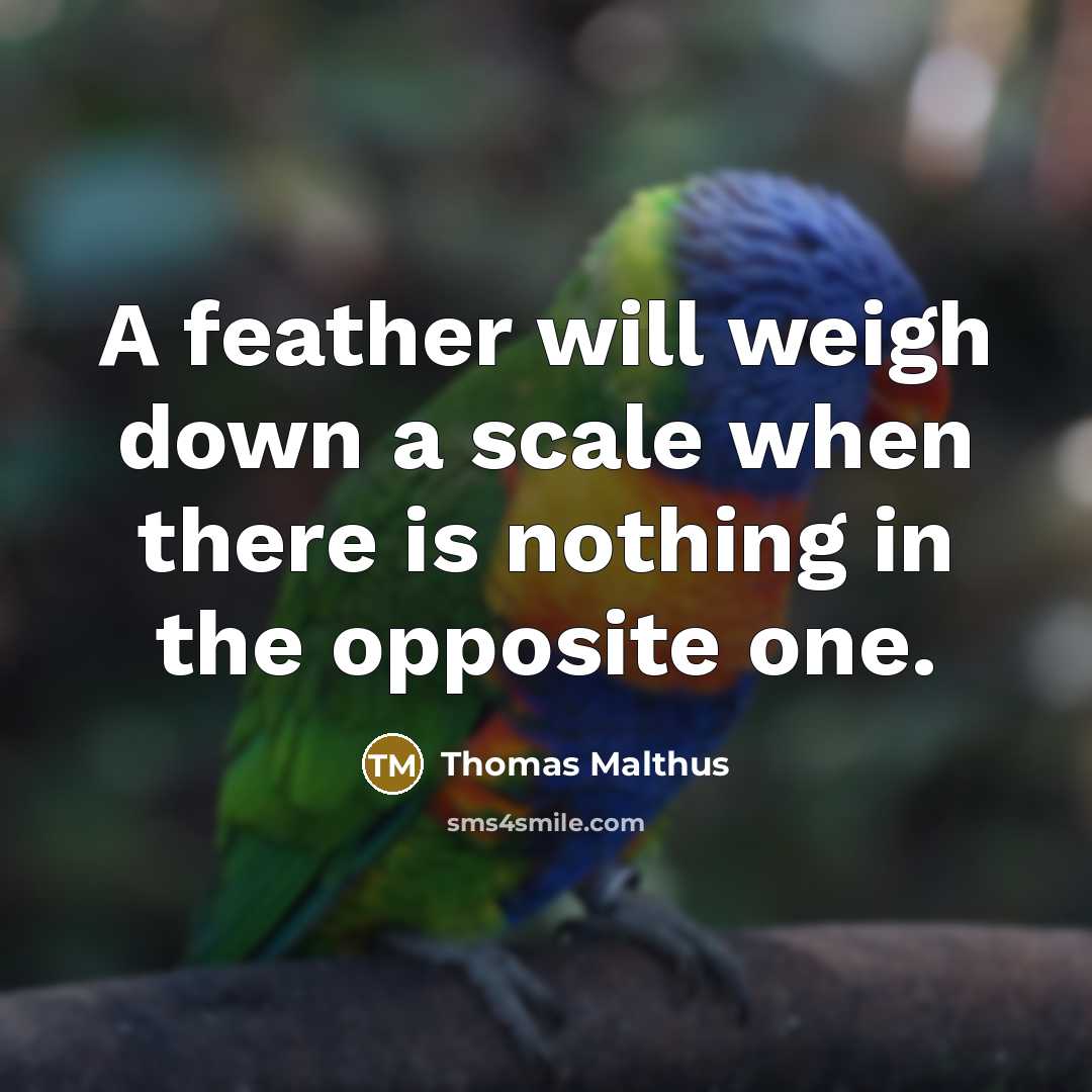 “A feather will weigh down a scale when there is nothing in the opposite one.” quote by Thomas Malthus