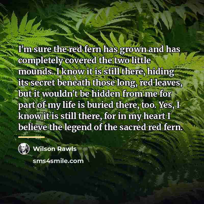 “I'm sure the red fern has grown and has completely…” quote by Wilson Rawls