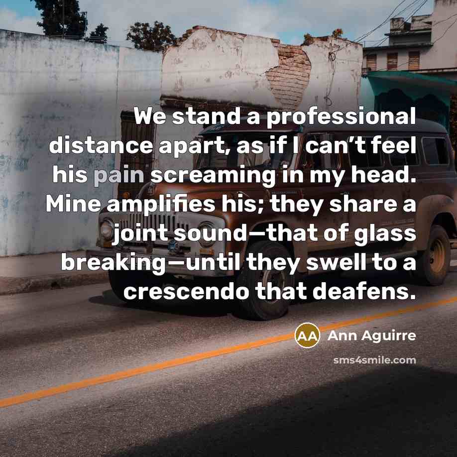 “We stand a professional distance apart, as if I can’t…” quote by Ann Aguirre