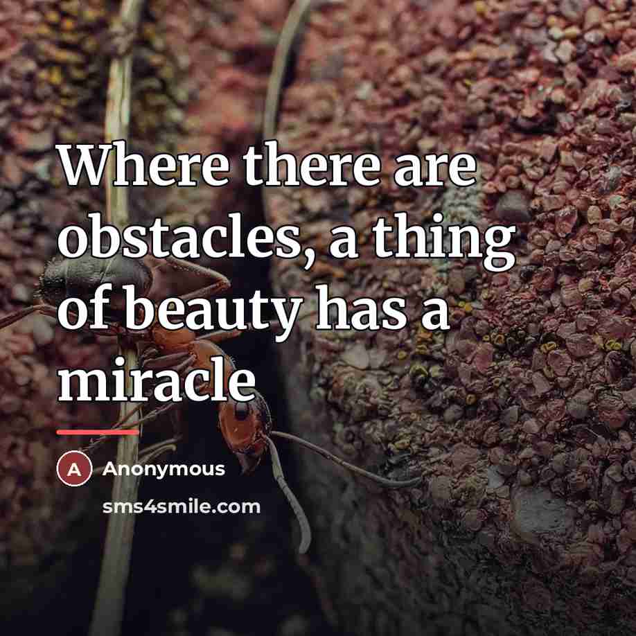 “Where there are obstacles, a thing of beauty has a…” quote by Anonymous