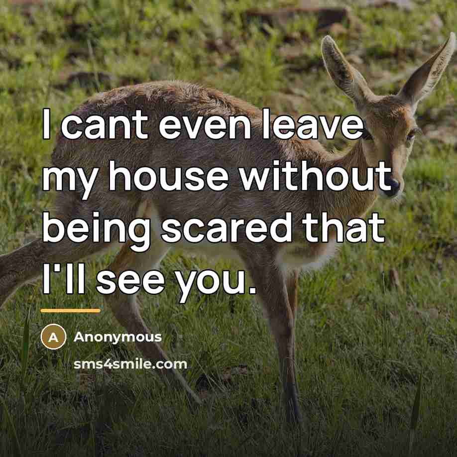“I cant even leave my house without being scared that…” quote by Anonymous