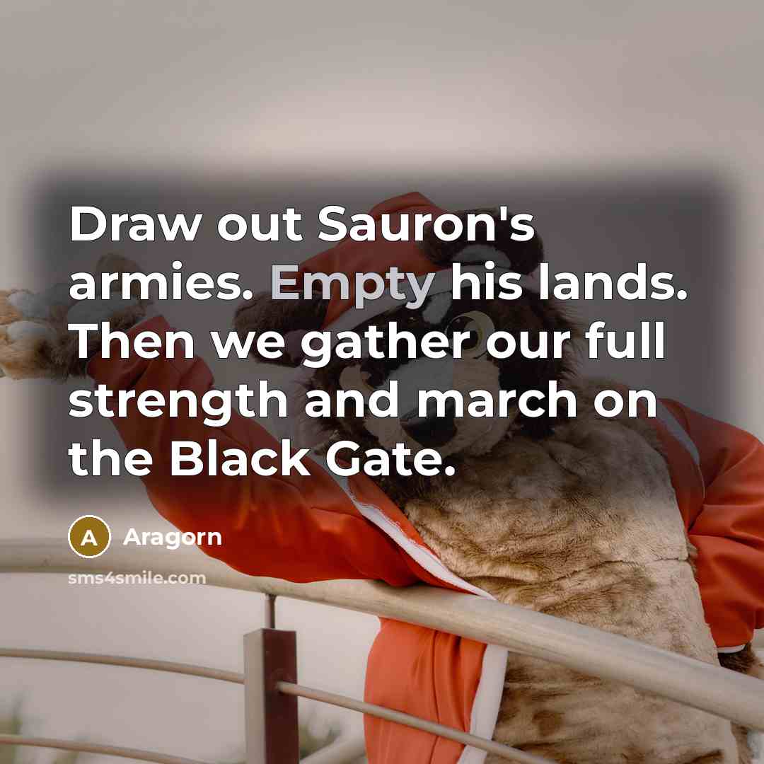 “Draw out Sauron's armies. Empty his lands. Then we gather…” quote by Aragorn