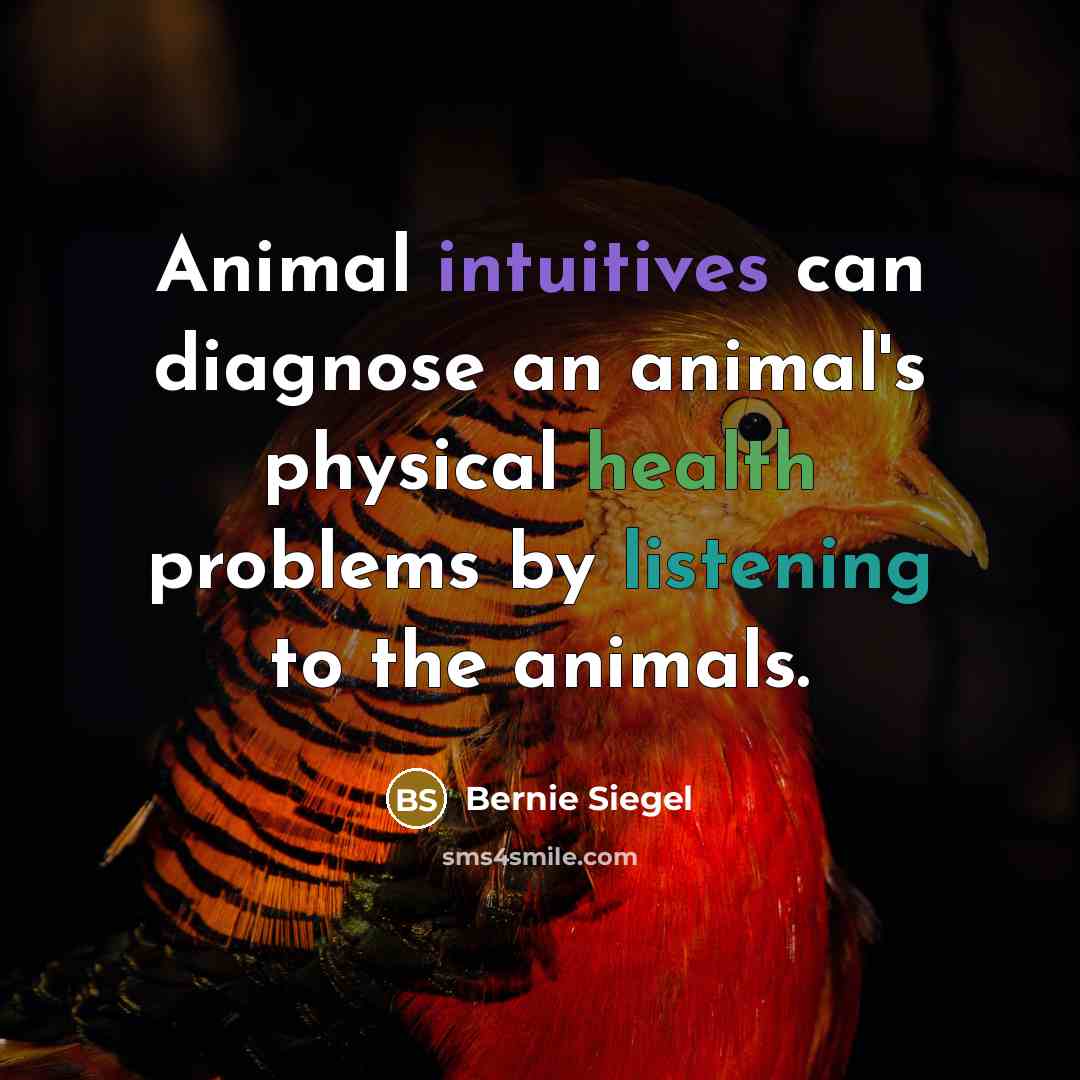 “Animal intuitives can diagnose an animal's physical health problems by…” quote by Bernie Siegel