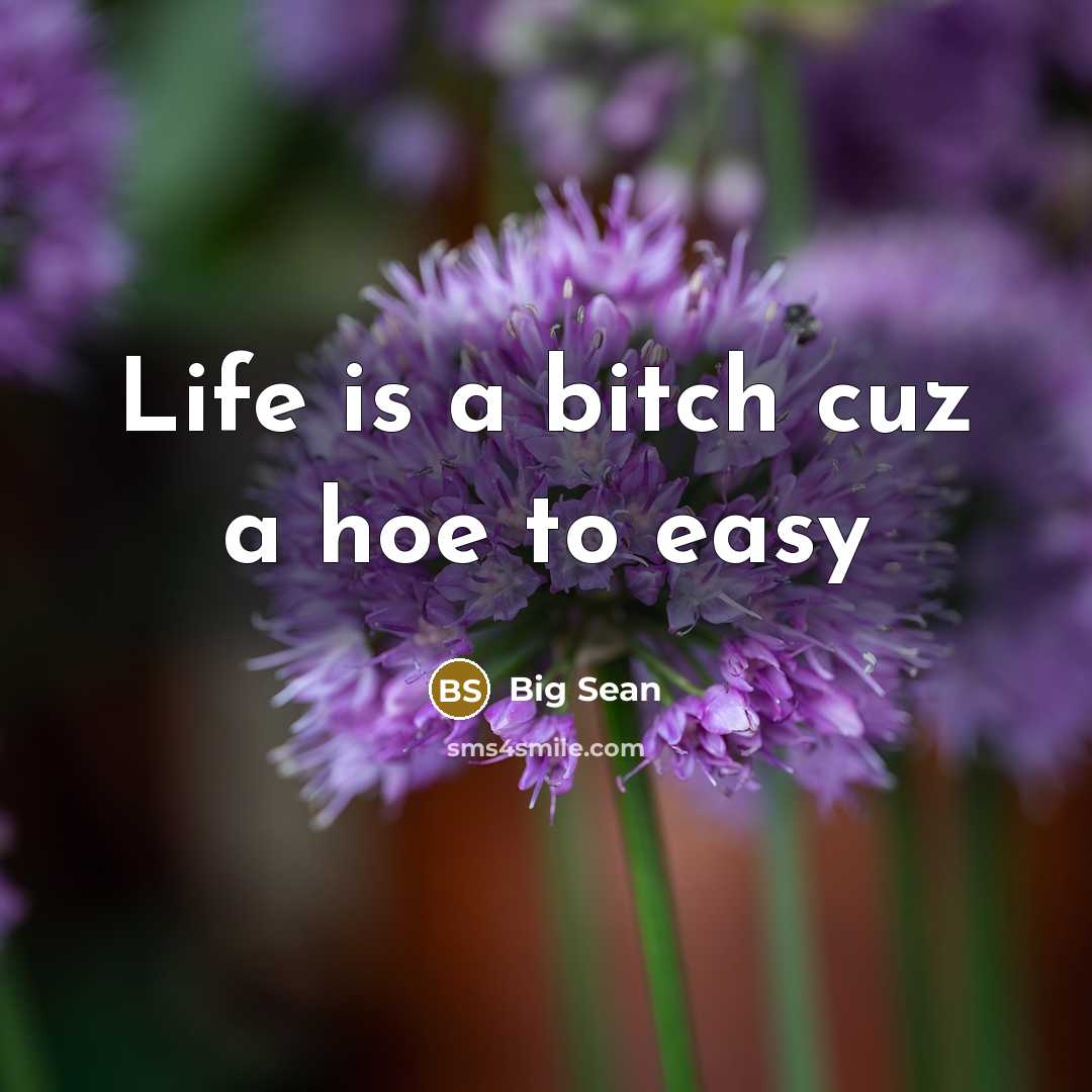 “Life is a bitch cuz a hoe to easy…” quote by Big Sean