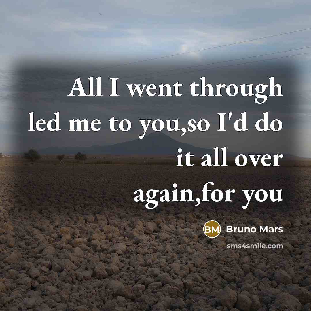“All I went through led me to you,so I'd do…” quote by Bruno Mars