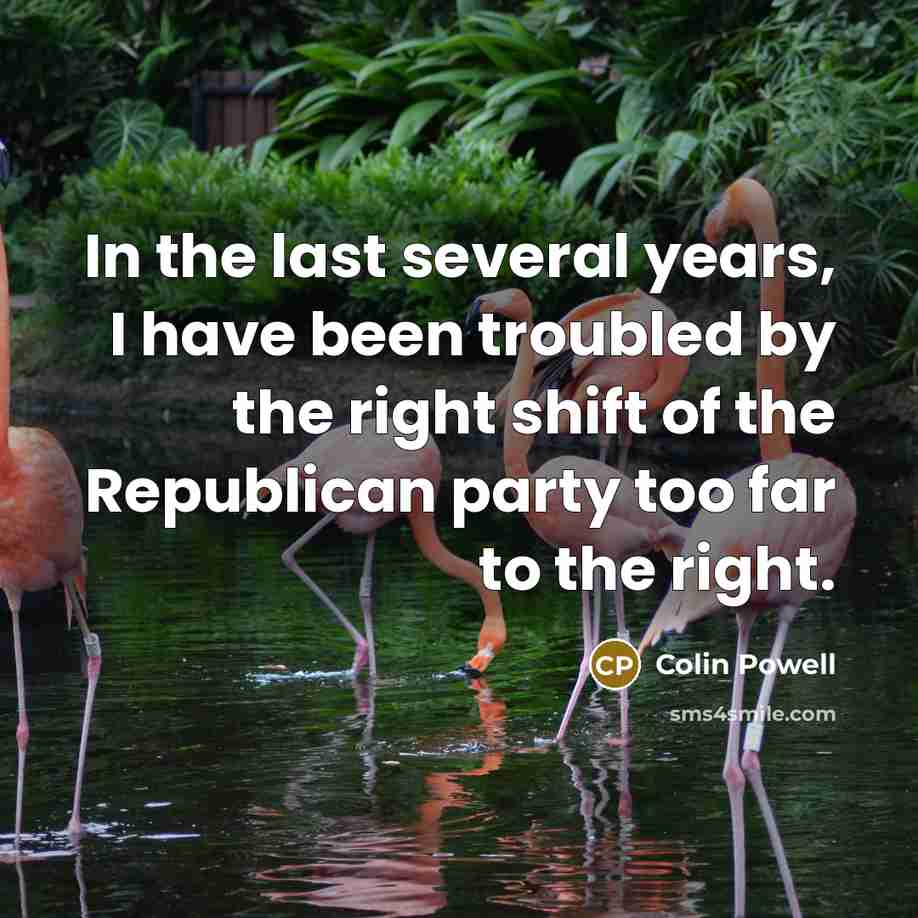 “In the last several years, I have been troubled by…” quote by Colin Powell
