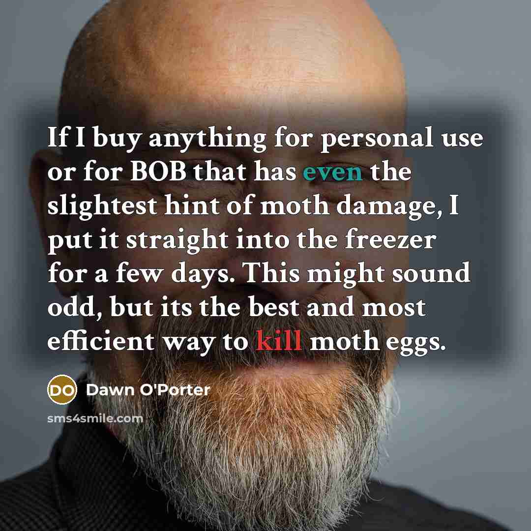 “If I buy anything for personal use or for BOB…” quote by Dawn O'Porter
