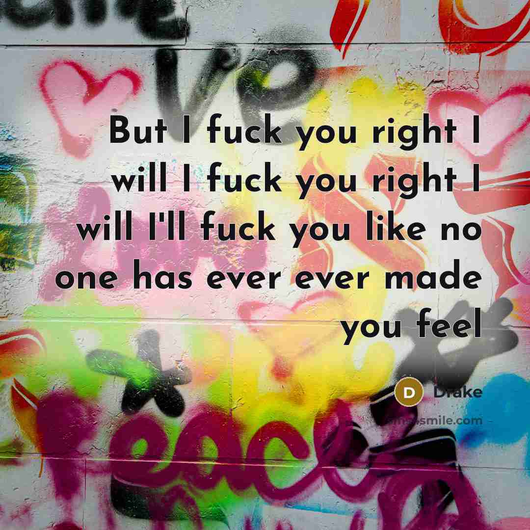 “But I fuck you right I will I fuck you right I will I'll fuck you like no one has ever ever made you feel” quote by Drake