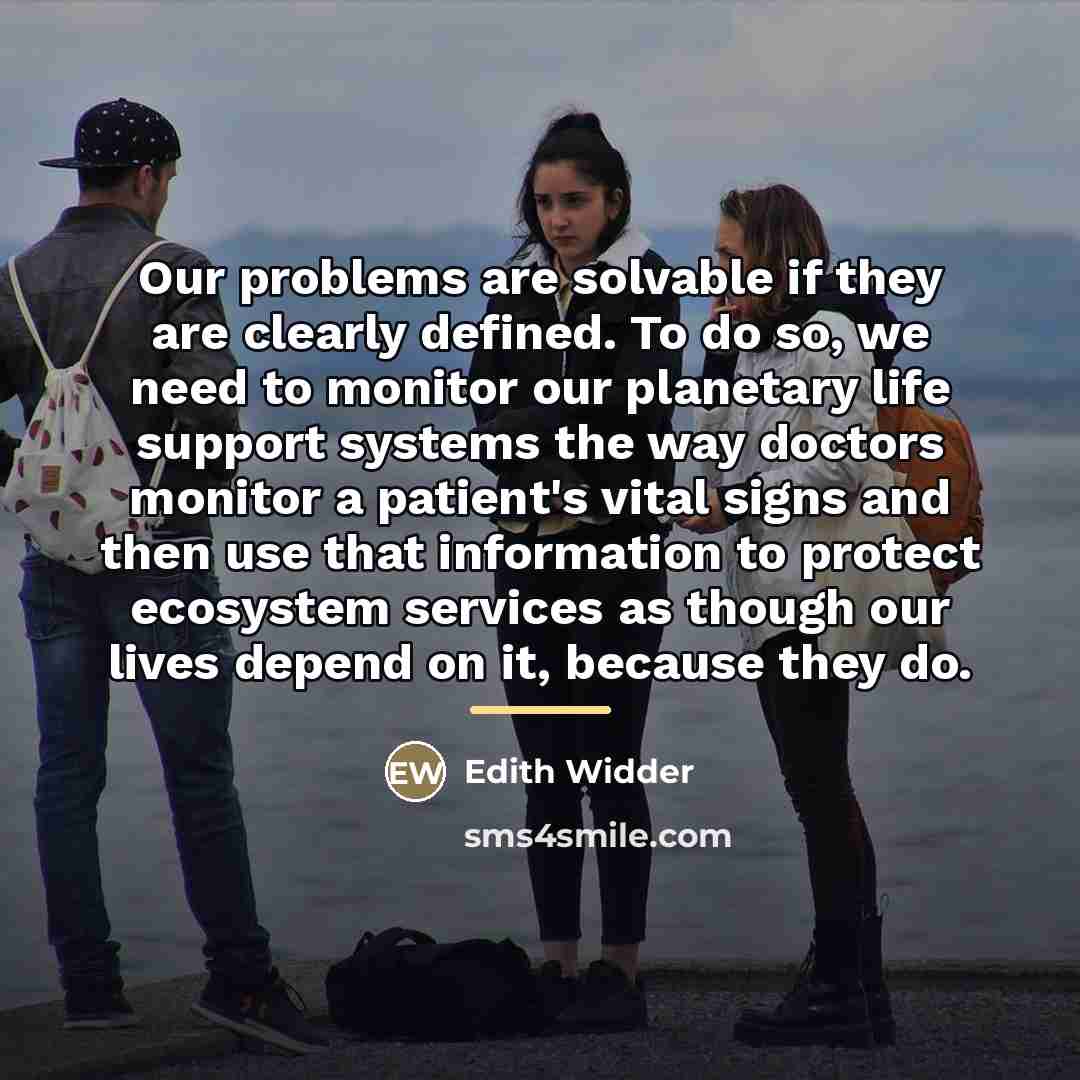 “Our problems are solvable if they are clearly defined. To…” quote by Edith Widder