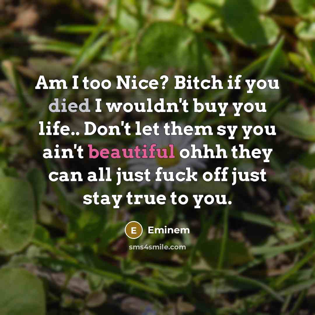 “Am I too Nice? Bitch if you died I wouldn't buy you life.. Don't let them sy you ain't beautiful ohhh they can all just fuck off just stay true to you.” quote by Eminem