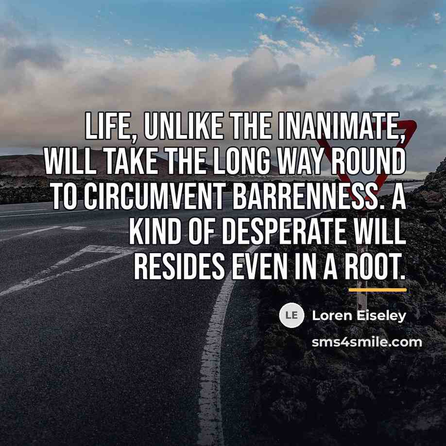 “Life, unlike the inanimate, will take the long way round…” quote by Loren Eiseley
