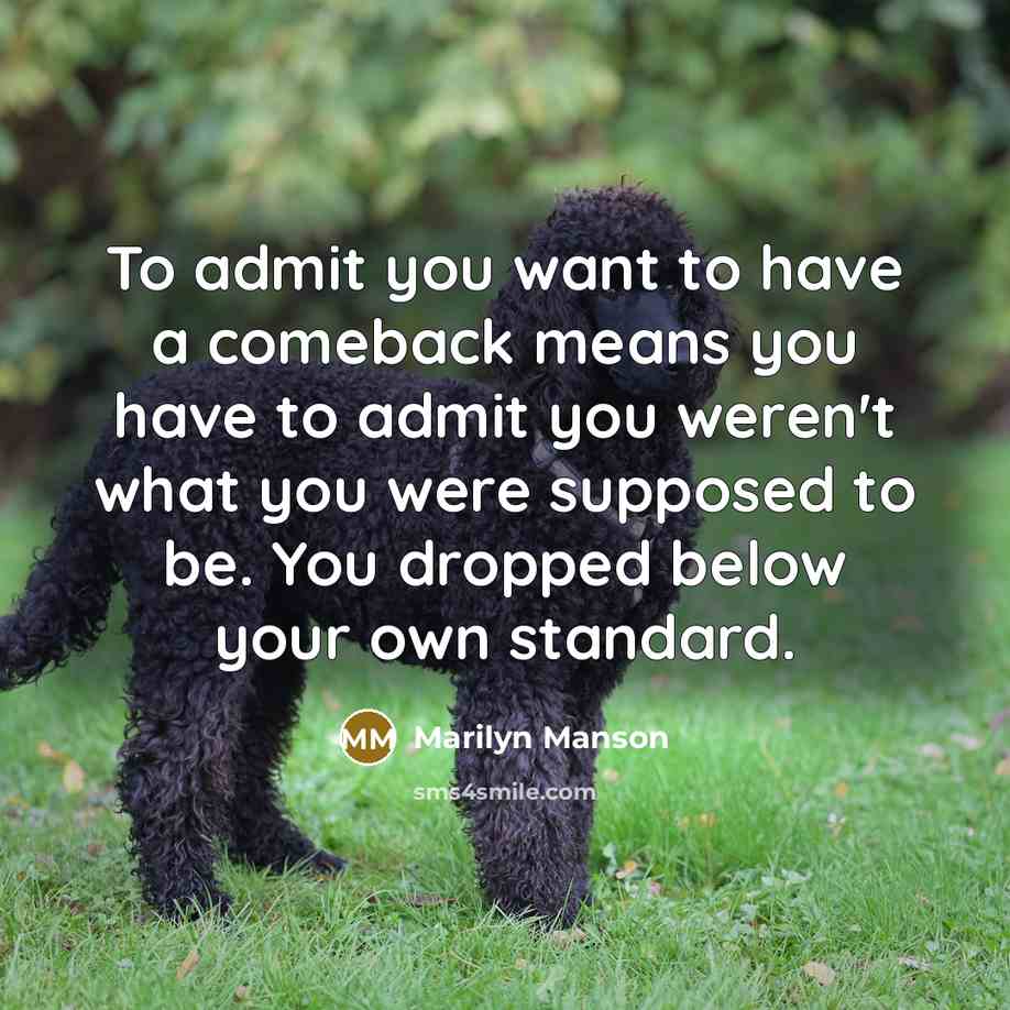 “To admit you want to have a comeback means you…” quote by Marilyn Manson