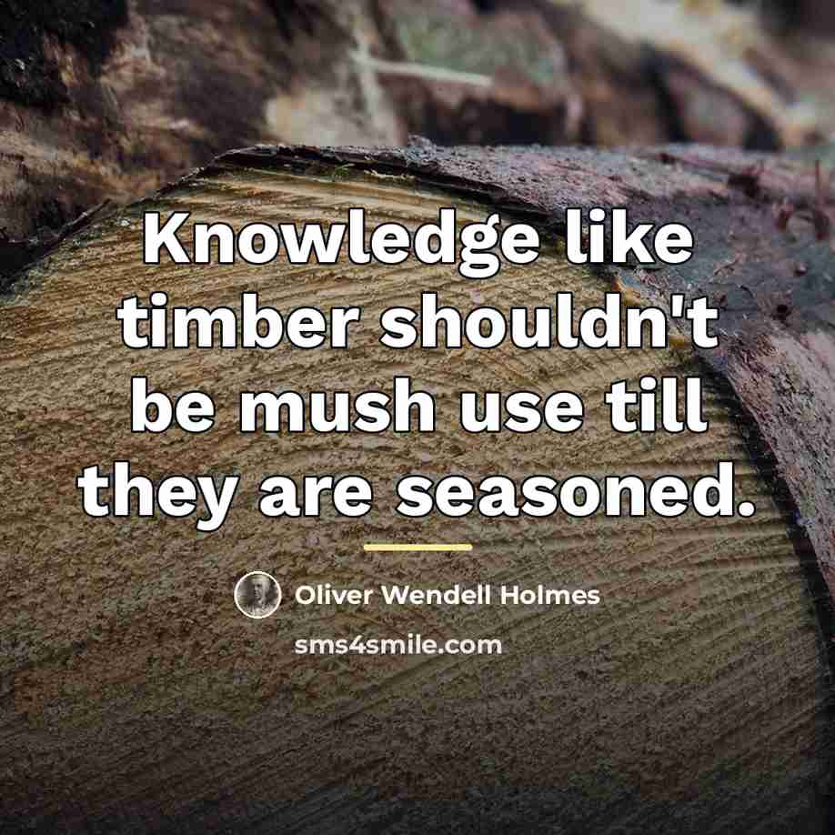 “Knowledge like timber shouldn't be mush use till they are…” quote by Oliver Wendell Holmes