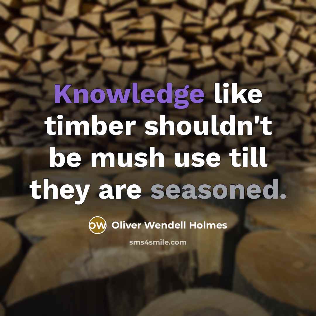 “Knowledge like timber shouldn't be mush use till they are seasoned.” quote by Oliver Wendell Holmes