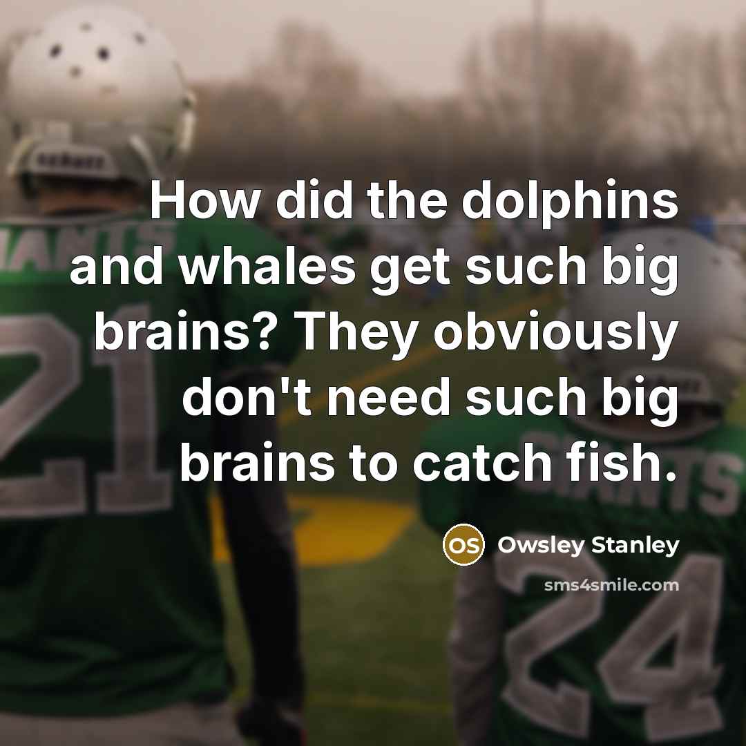“How did the dolphins and whales get such big brains?…” quote by Owsley Stanley