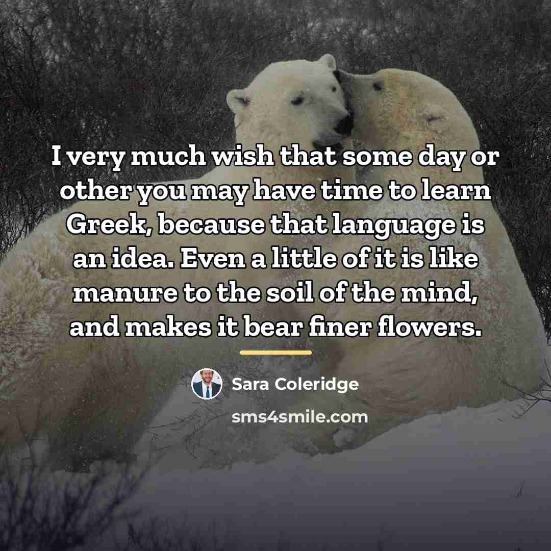 “I very much wish that some day or other you…” quote by Sara Coleridge