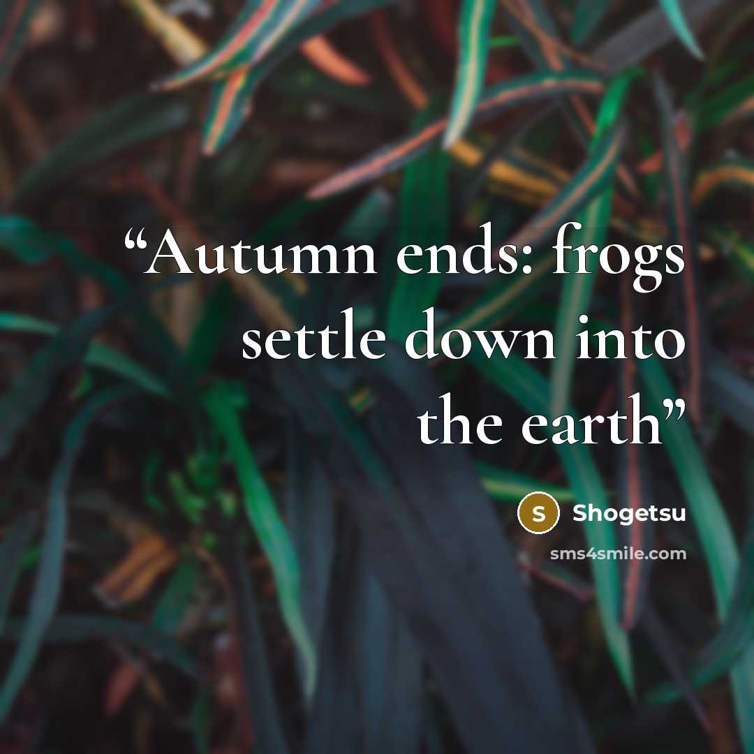 “Autumn ends: frogs settle down into the earth” quote by Shogetsu