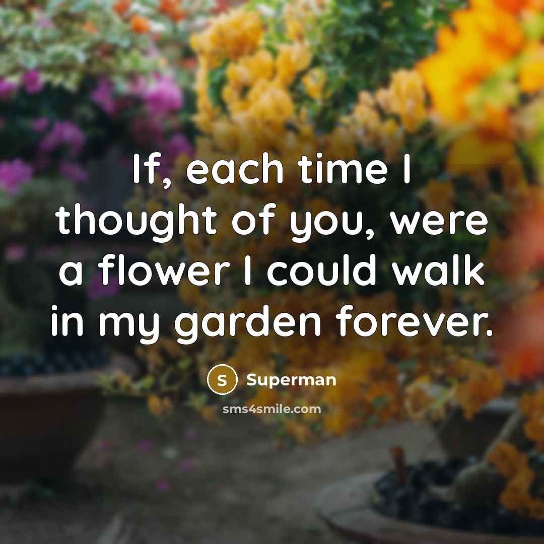 “If, each time I thought of you, were a flower…” quote by Superman