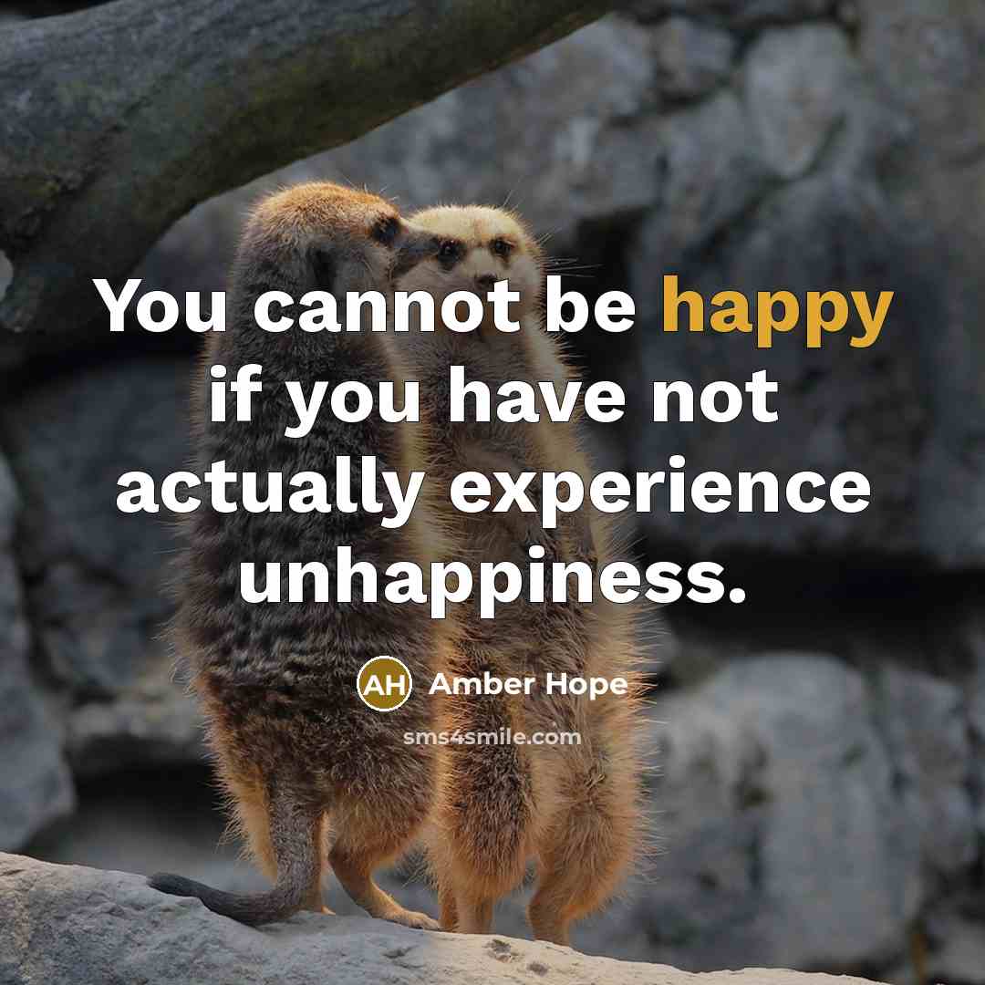 “You cannot be happy if you have not actually experience…” quote by Amber Hope