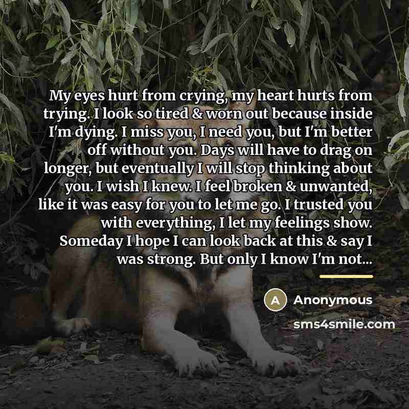“My eyes hurt from crying, my heart hurts from trying.…” quote by Anonymous