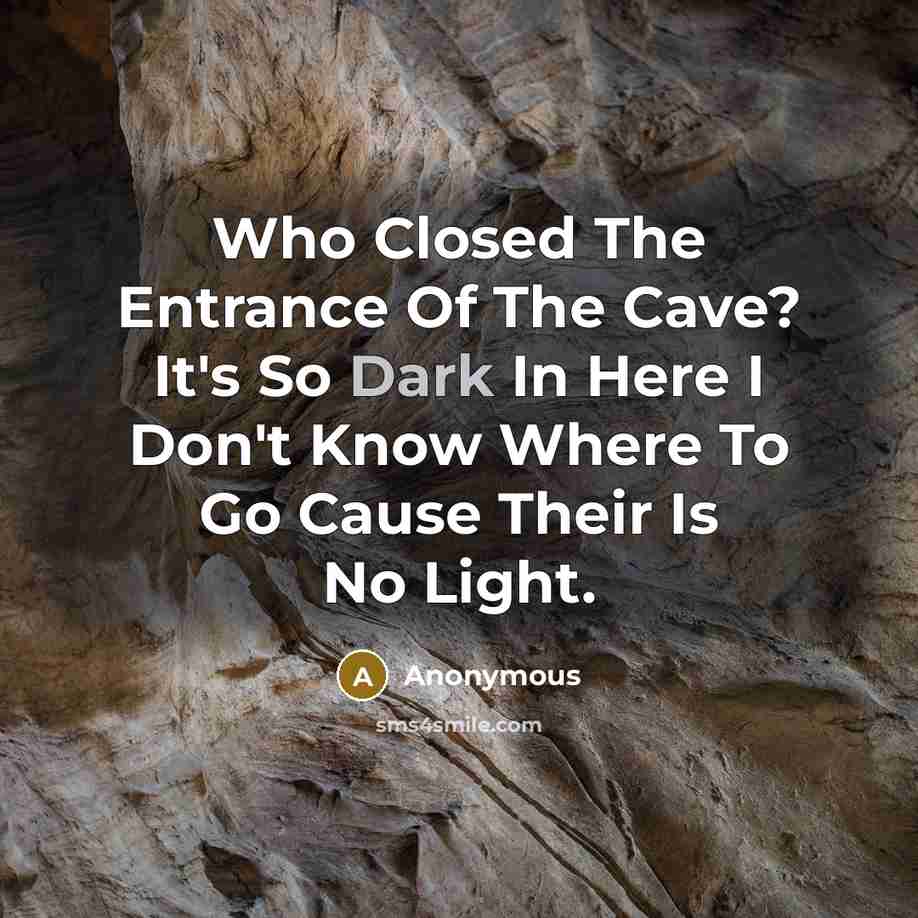 “Who Closed The Entrance Of The Cave? It's So Dark In Here I Don't Know Where To Go Cause Their Is No Light.” quote by Anonymous