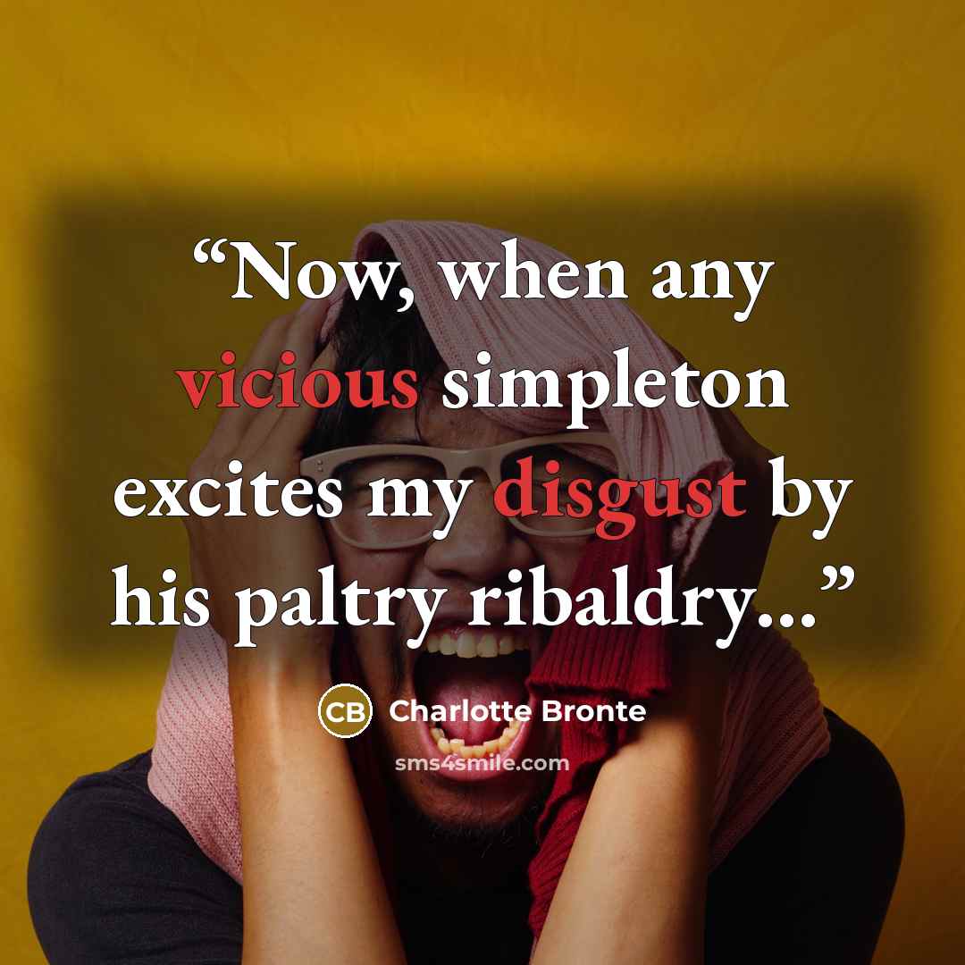 “Now, when any vicious simpleton excites my disgust by his paltry ribaldry…” quote by Charlotte Brontë