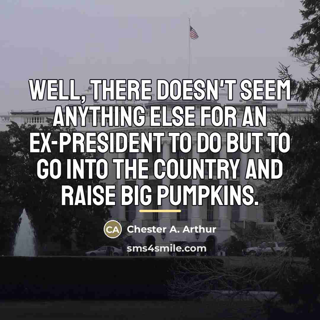 “Well, there doesn't seem anything else for an ex-President to…” quote by Chester A. Arthur