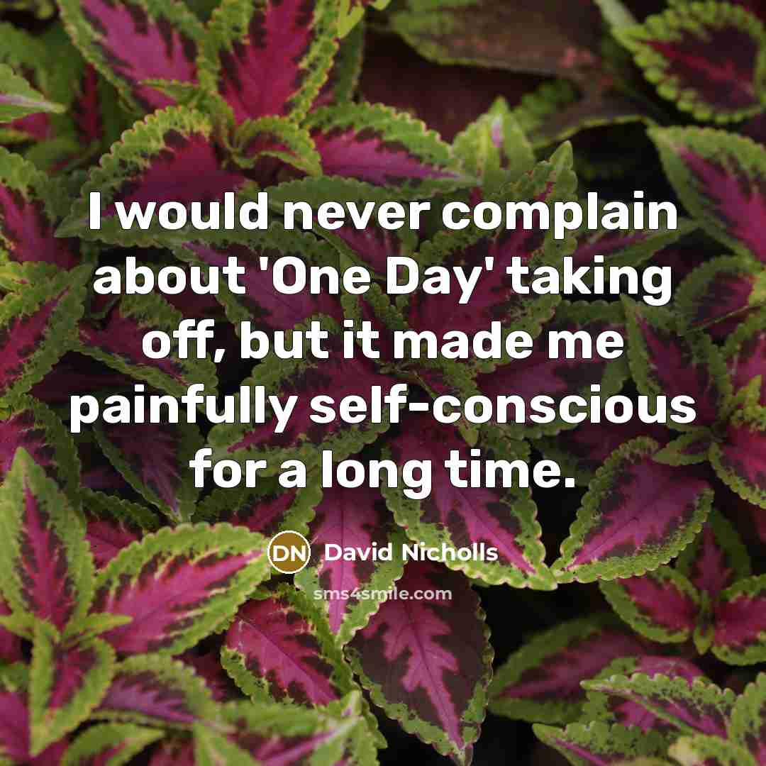 “I would never complain about 'One Day' taking off, but…” quote by David Nicholls