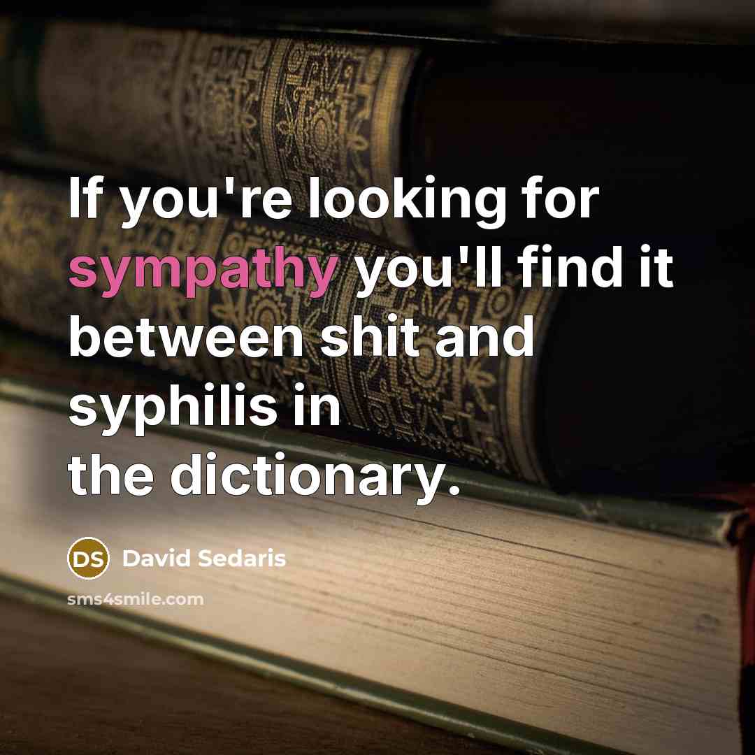 “If you're looking for sympathy you'll find it between shit and syphilis in the dictionary.” quote by David Sedaris