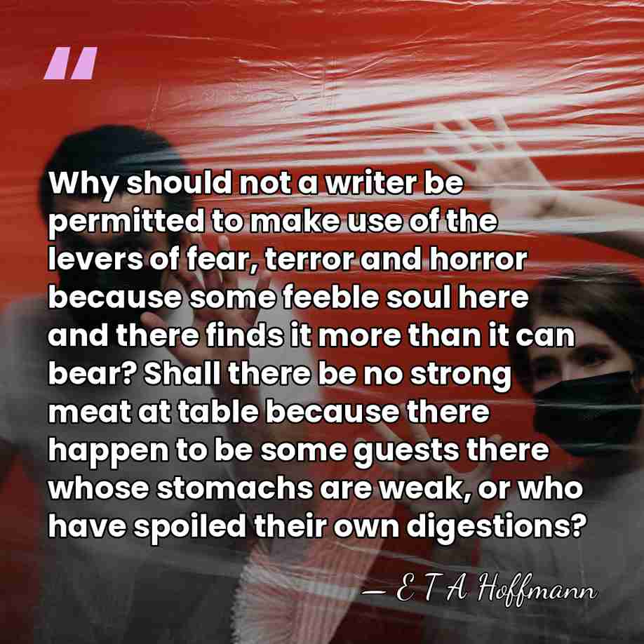 Why should not a writer be permitted to make use of the&hellip; - E T A Hoffmann