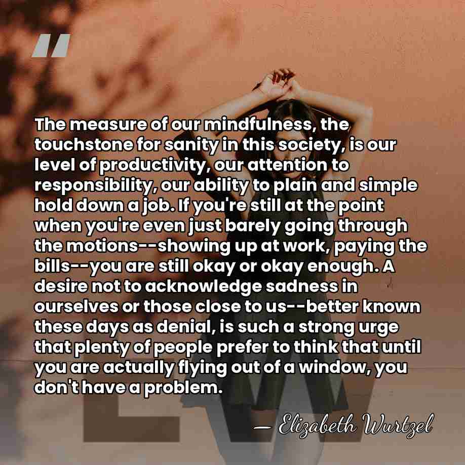 The measure of our mindfulness, the touchstone for sanity in this society,&hellip; - Elizabeth Wurtzel