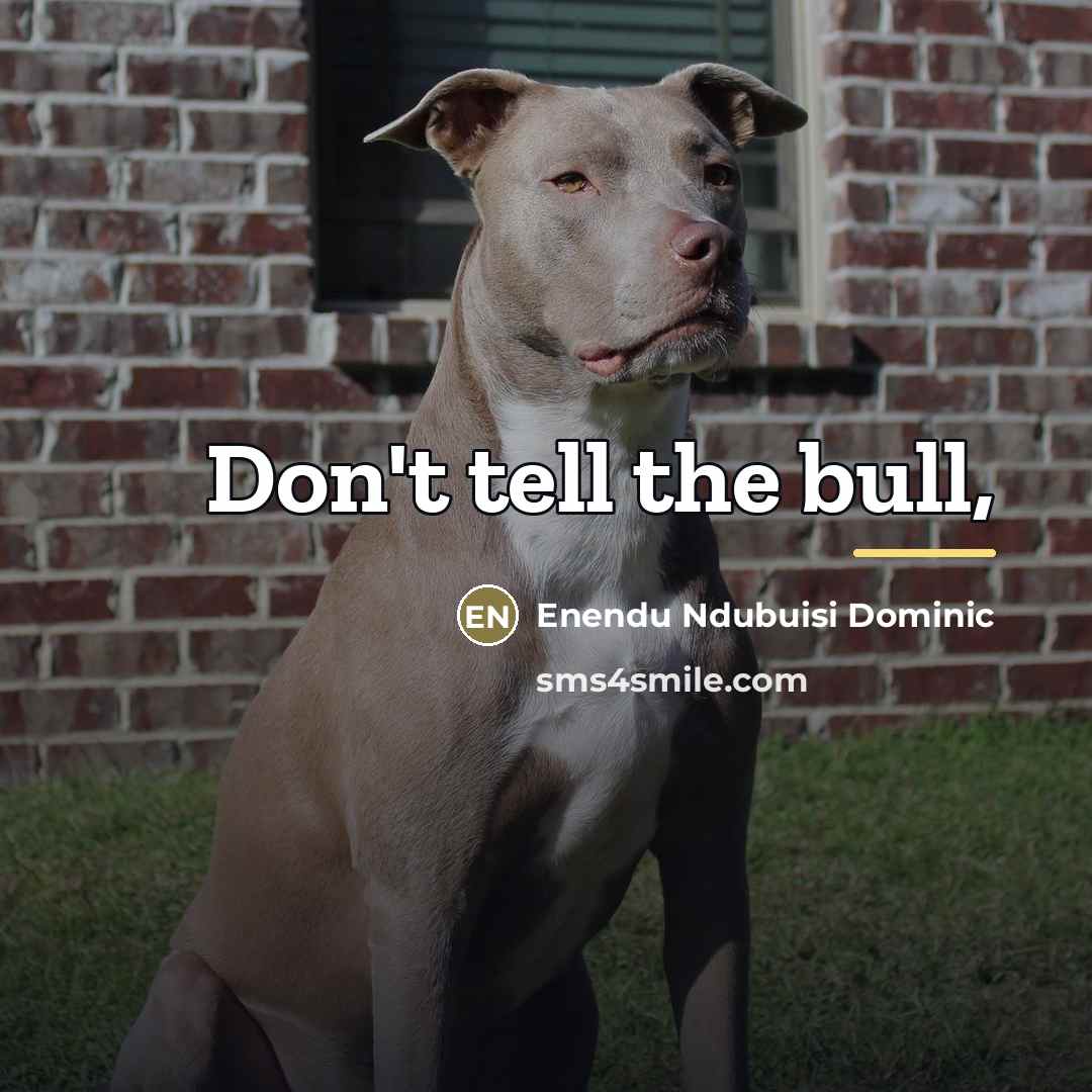 “Don't tell the bull,…” quote by Enendu Ndubuisi Dominic