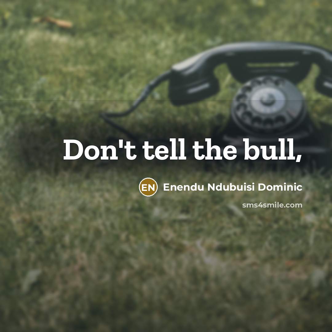 “Don't tell the bull,” quote by Enendu Ndubuisi Dominic