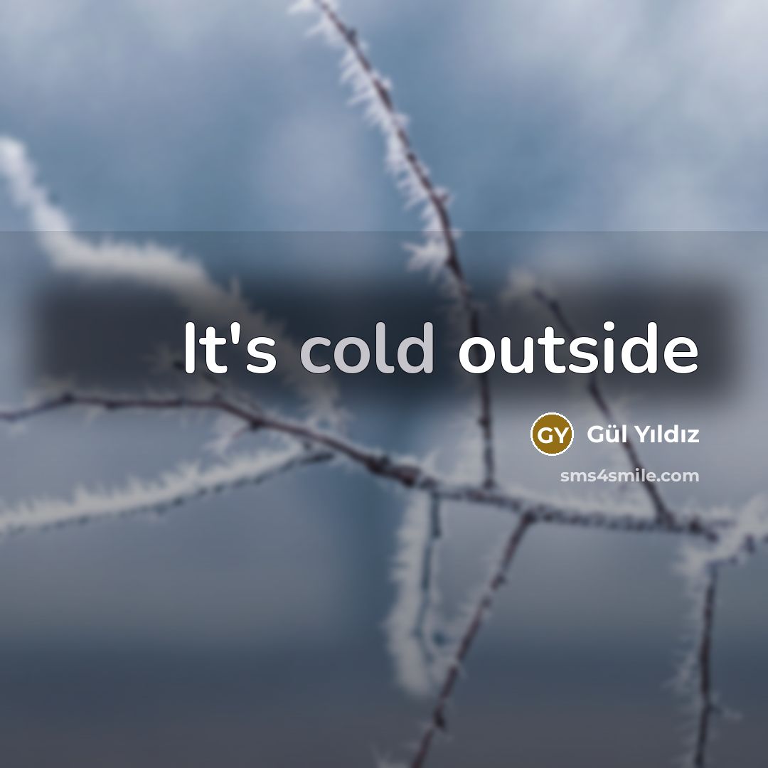 “It's cold outside” quote by Gül Yıldız