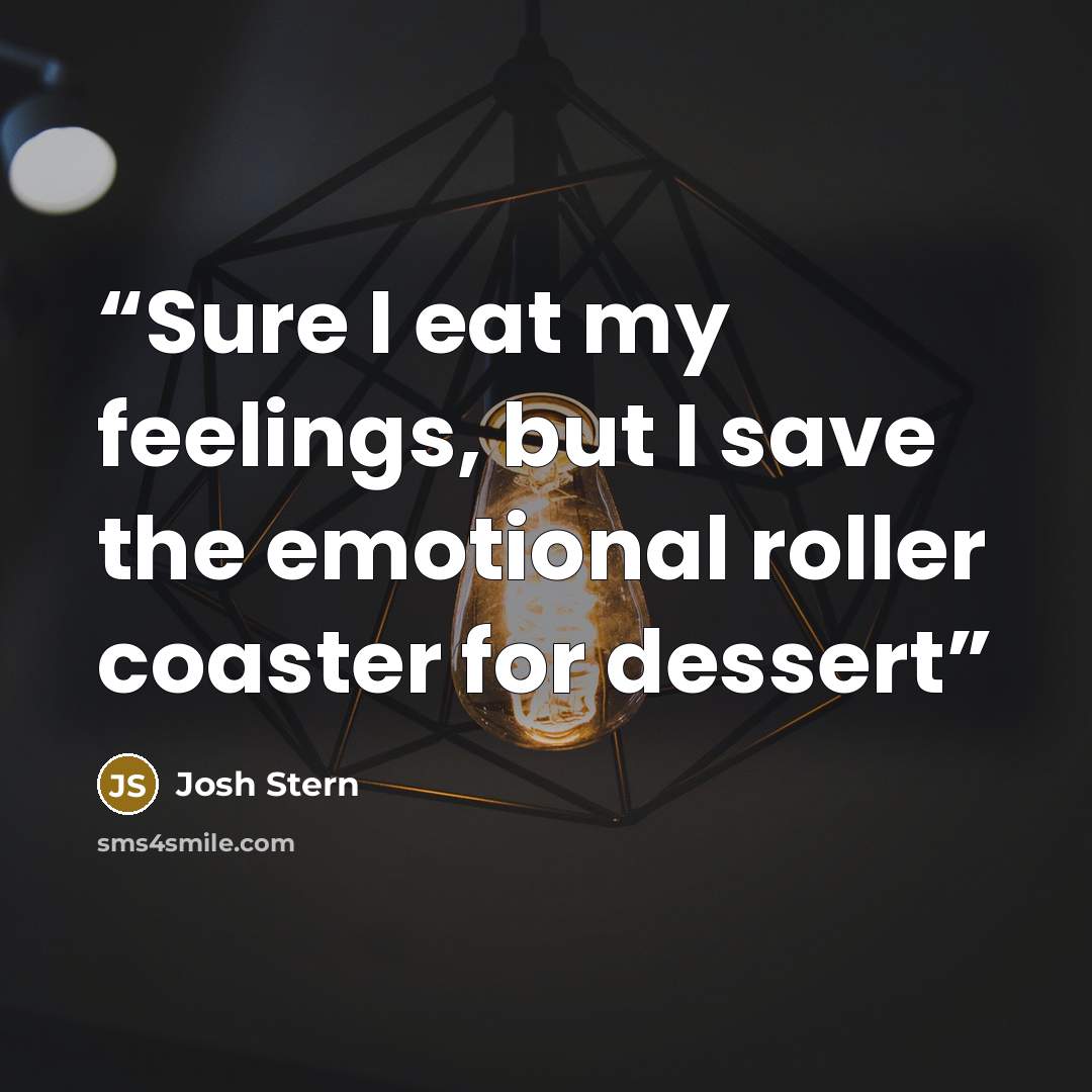 “Sure I eat my feelings, but I save the emotional roller coaster for dessert” quote by Josh Stern