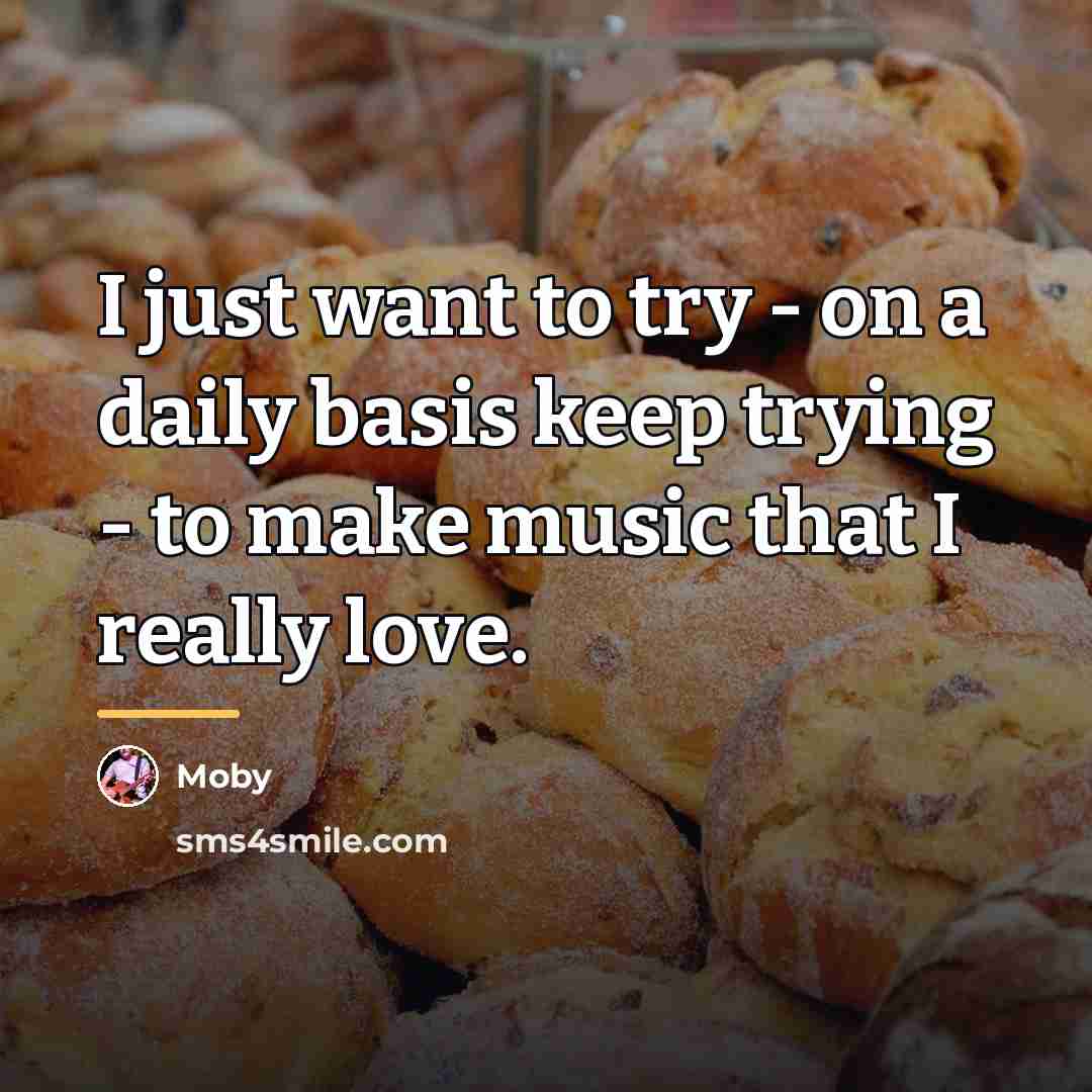 “I just want to try - on a daily basis…” quote by Moby