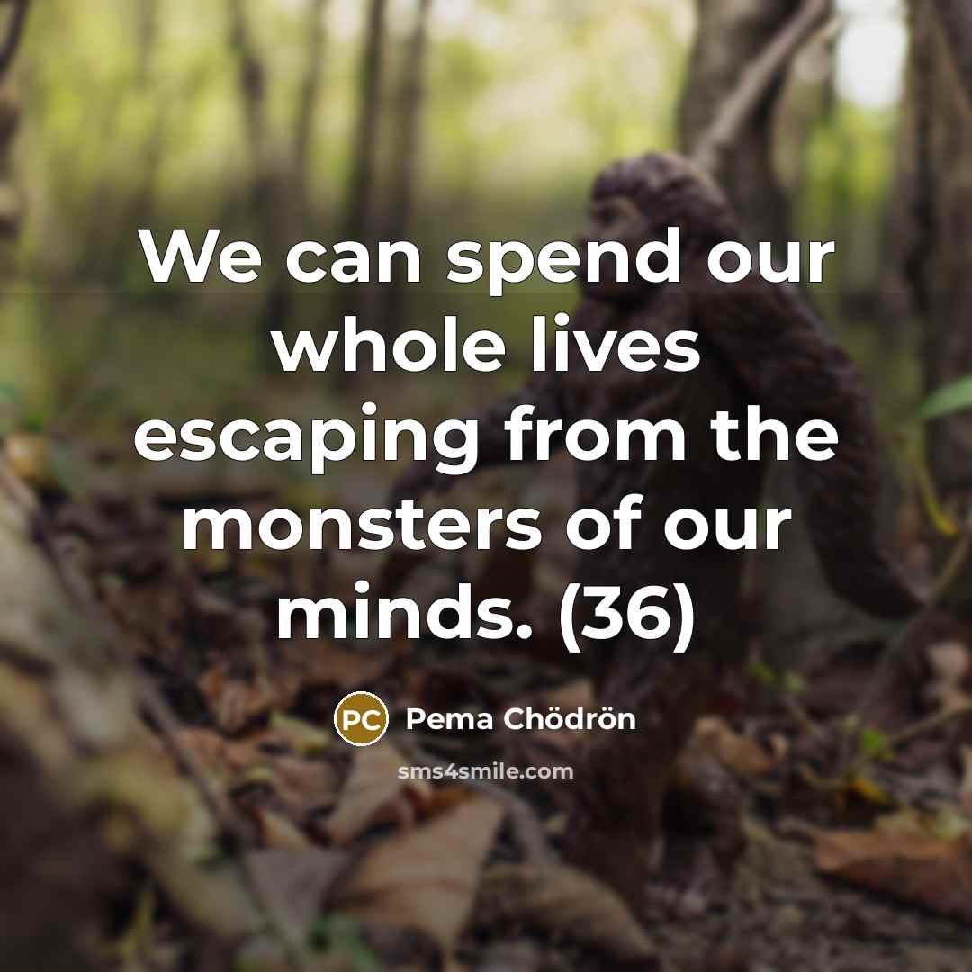 “We can spend our whole lives escaping from the monsters…” quote by Pema Chodron