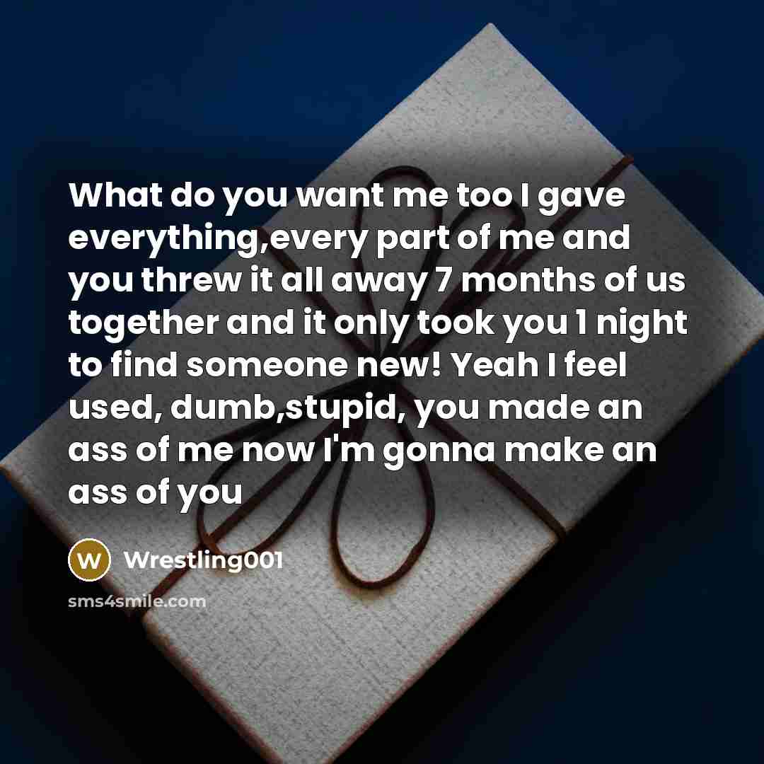 “What do you want me too I gave everything,every part…” quote by Wrestling001